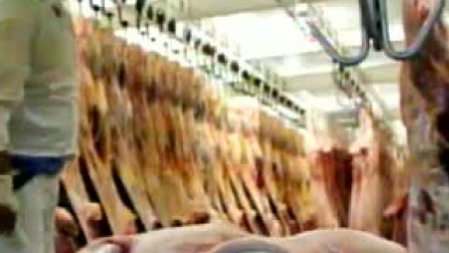 Chilevisión Noticias presentó un adelanto de "Los Pecados de la Carne