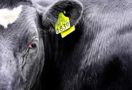 Famosos y políticos reaccionaron en Twitter luego de En la Mira