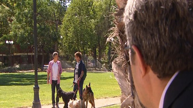 ¿Qué se trae entre manos el primo recién llegado de Andrés?