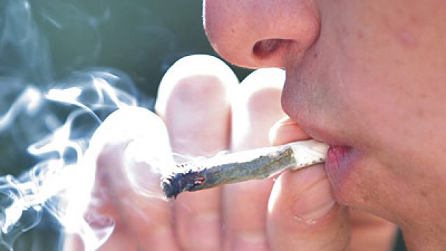 Marihuana la hierba de la discordia