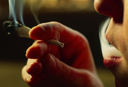 La yerba de la discordia y sus repercusiones en el mundo tuitero