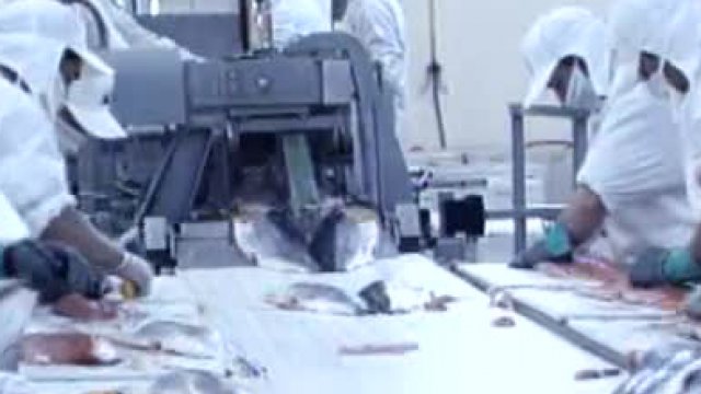 El Precio del Desarrollo: “Amenaza Ambiental”