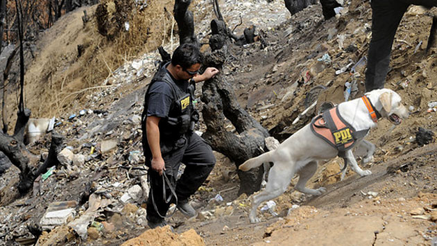 La PDI sigue buscando pistas para encontrar a Bastián Bravo