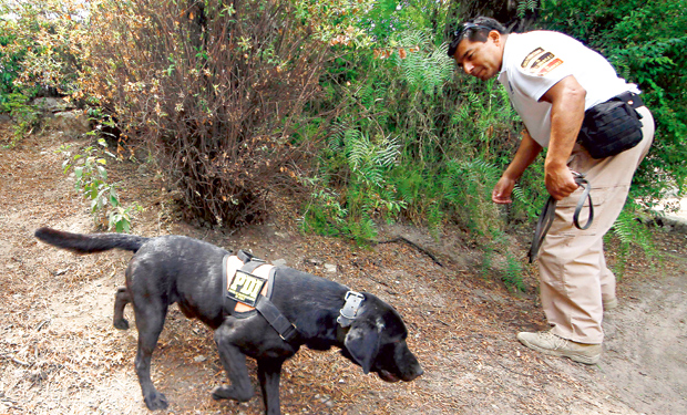 Psicóloga Pamela Lagos analizó a los padres de Bastián Bravo