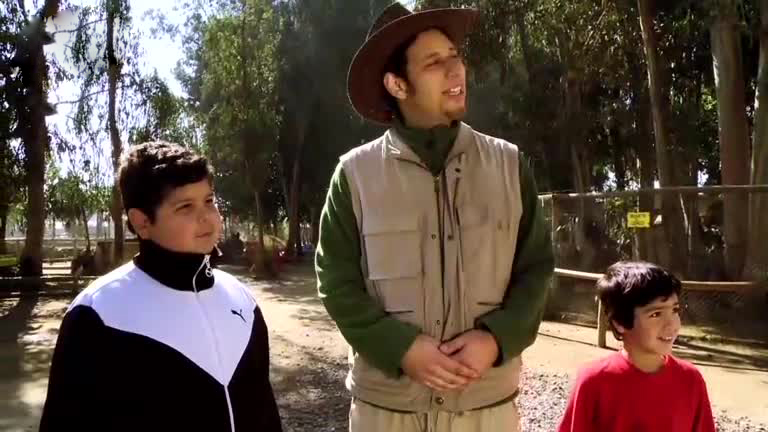 Esto pasa por no pagar la entrada al zoológico