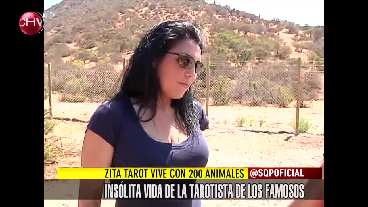 La insólita vida de la tarotista de los famosos