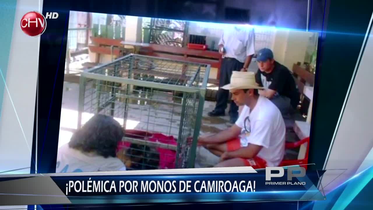 ¿Cómo y dónde están ahora los animales de Felipe Camiroaga?
