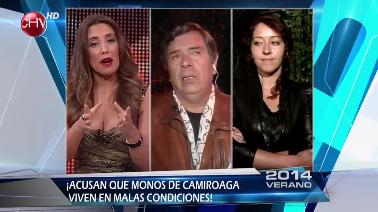 Centro de Primates: “Los monos de Camiroaga están mejor que antes”