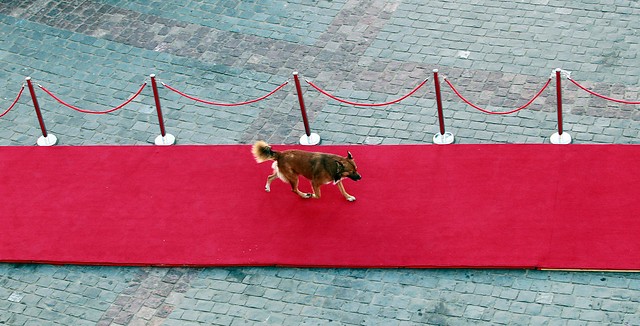Revive los momentos más freak de la Gala 2014