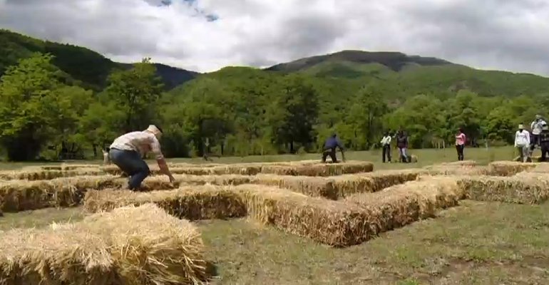 Mira todos los detalles de un nuevo capítulo de 