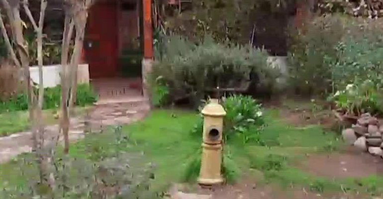 Insólitas situaciones que sólo ocurren en Chile