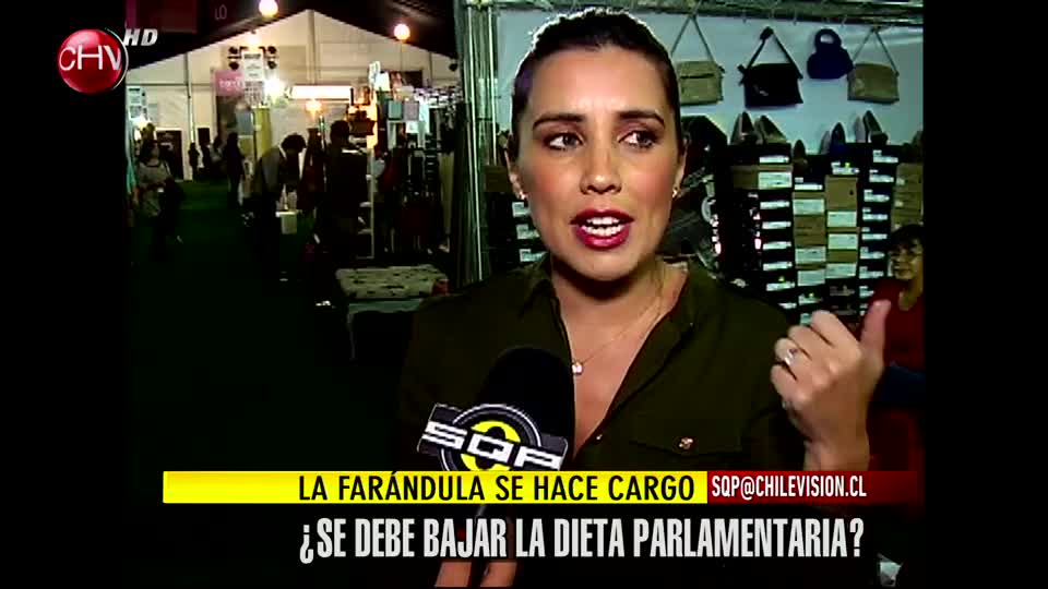 La farándula se hace cargo: ¿Se debe bajar la dieta Parlamentaria?