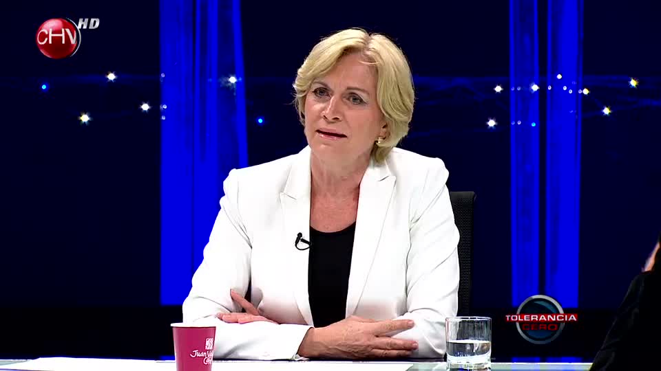 Matthei y la reforma tributaria: 