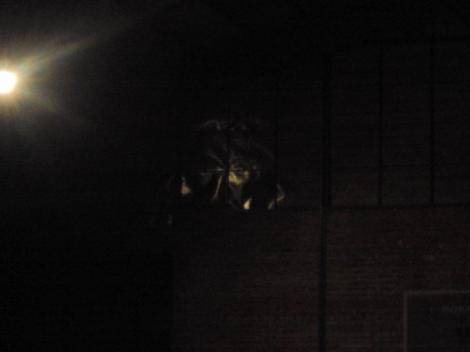 Misteriosas apariciones de Cristo en distintas partes crea incertidumbre