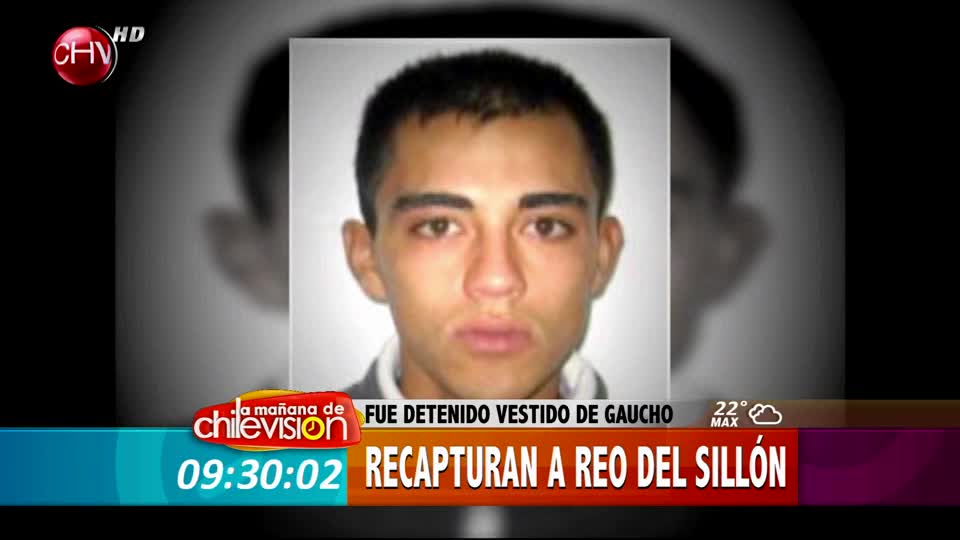 Reo que se fugó al interior de un sofá fue recapturado en Argentina