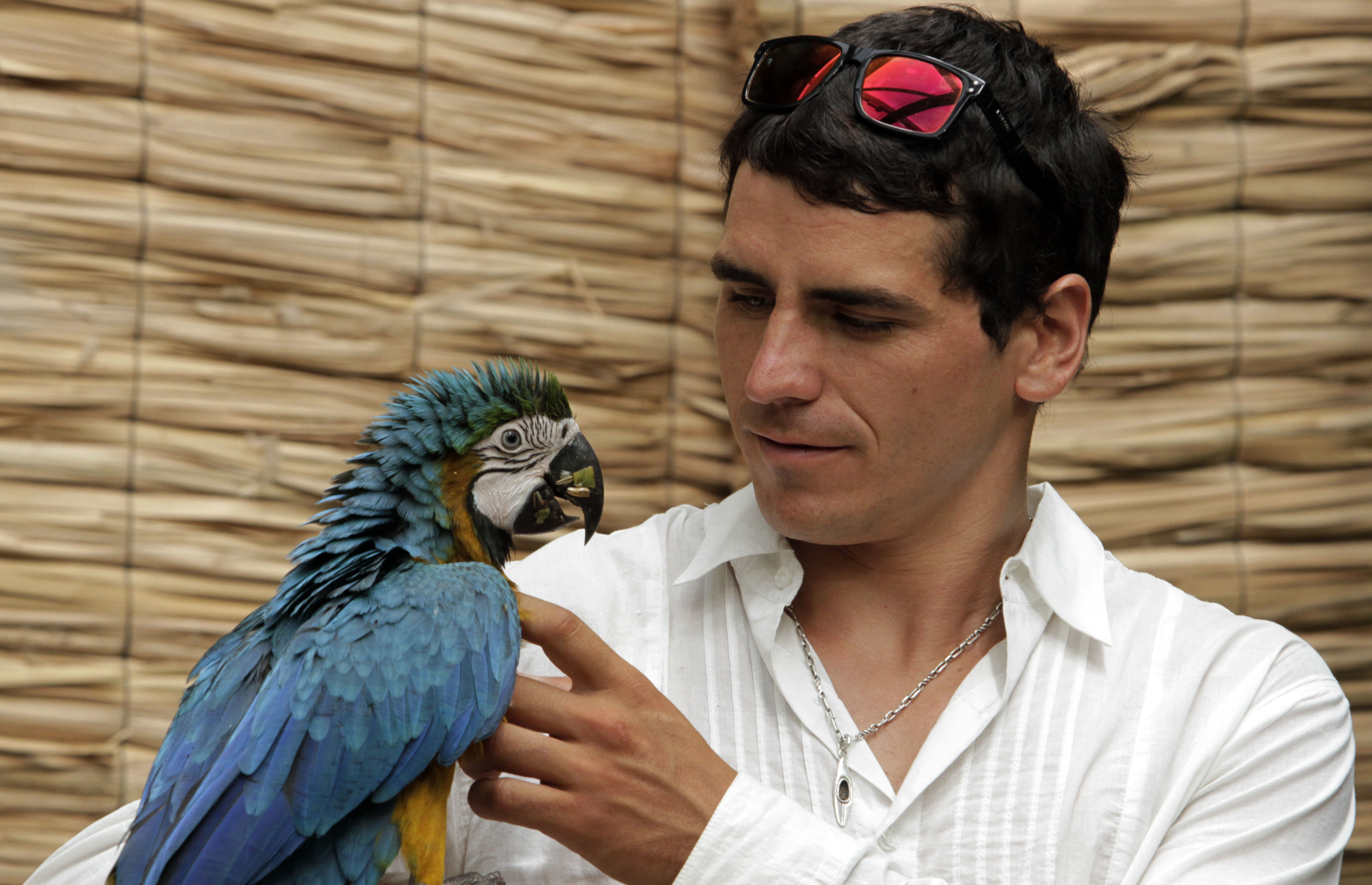 Mira por qué razón Pangal Andrade tuvo una mala noche