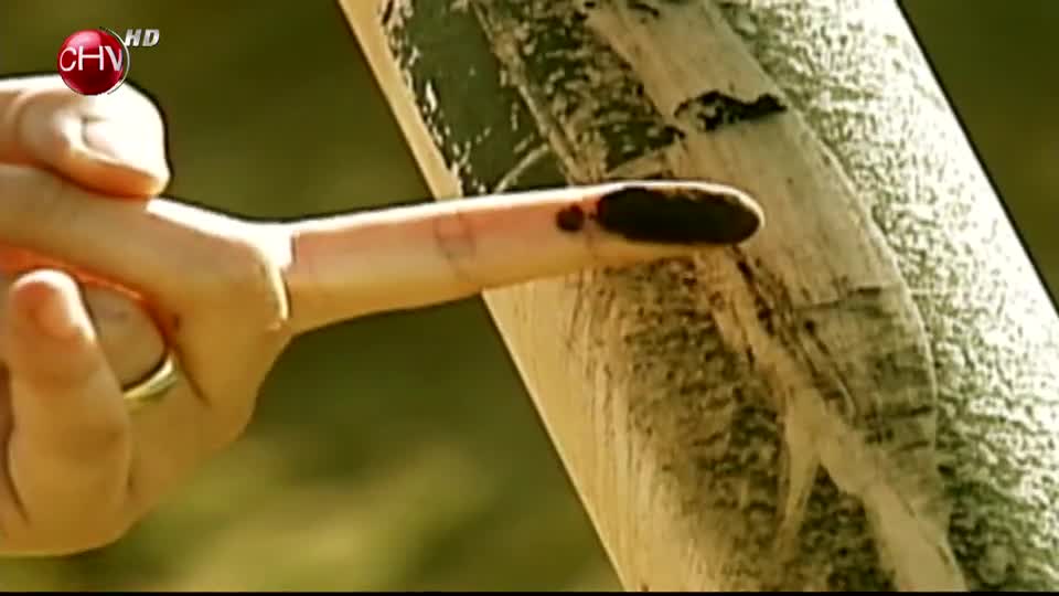 Zonas de Sacrificio | Capítulo 14 de mayo (Parte 3)