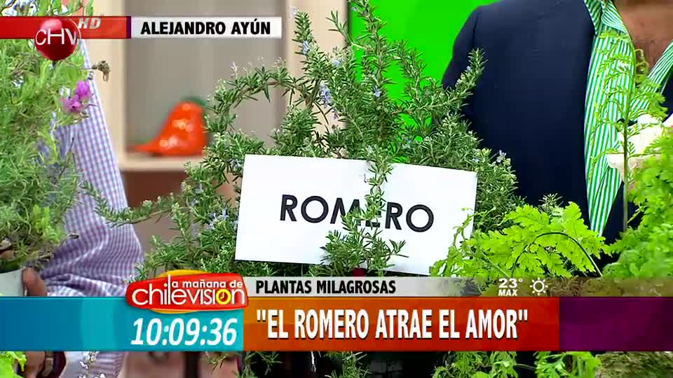 Alejandro Ayún y sus datos sobre las plantas que atraen el amor