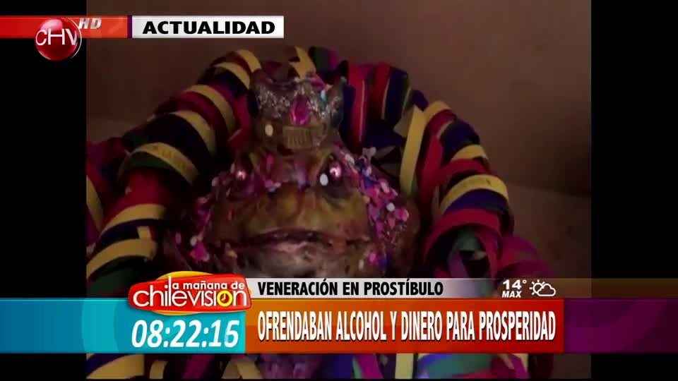 Operación Rey Sapito: Ofrendaban alcohol y dinero en prostíbulo