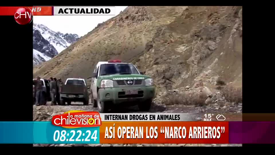 Traficantes y su nueva estrategia de los “Narco Arrieros” para transportar droga