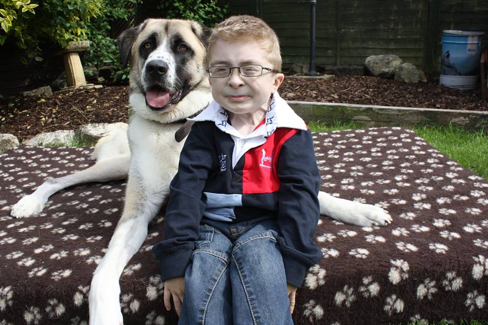 Conoce la emotiva historia entre este niño y su perro