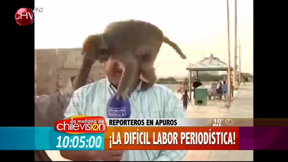 Mira los divertidos chascarros de los periodistas