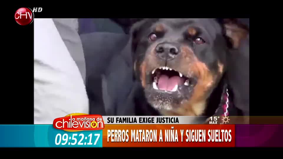 Niña muere tras ser brutalmente atacada por perros de casa vecina (Parte 2)