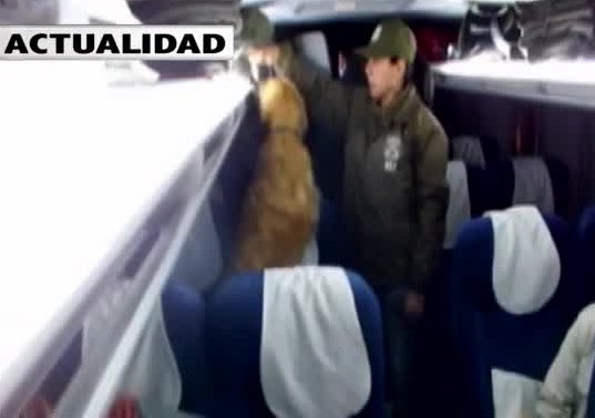 Conoce la nueva modalidad de los traficantes “narcobuses”