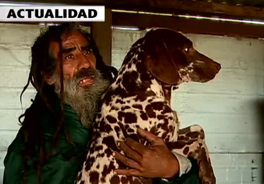 Hombre quiere tener 101 dálmatas y es acusado de maltrato animal
