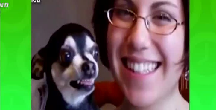 Mira los más tiernos chascarros que se han tomado la Web