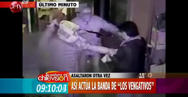 Locatarios de Viña del Mar atemorizados con violento actuar de banda de 