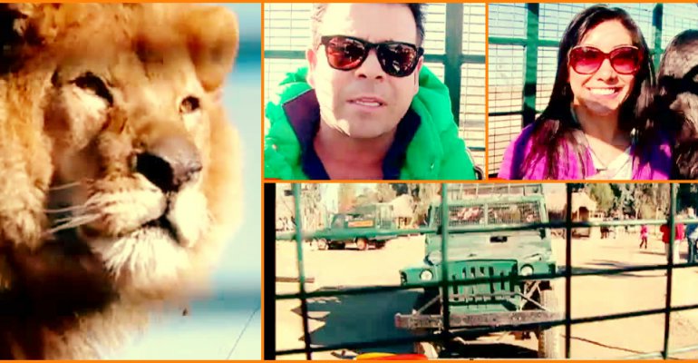 Nacho y Carmen Gloria vivieron un safari en Rancagua