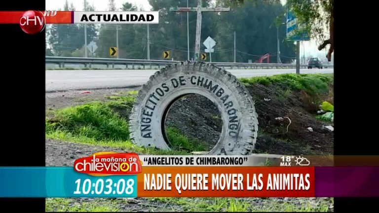 Familias se niegan a mover animitas por construcción de carretera en Chimbarongo (Parte 2)