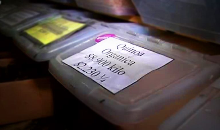 Conoce a los rostros que siguen la conocida 