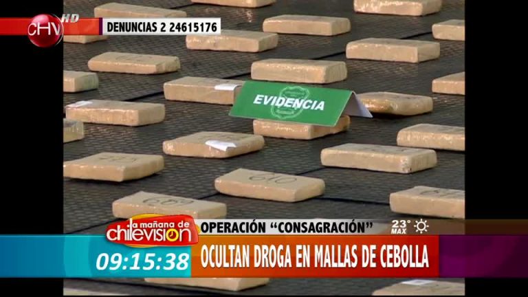 Delincuentes escondían la droga en mallas de cebollas