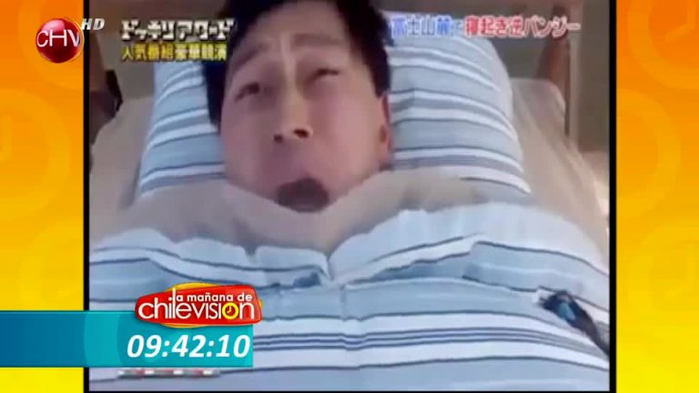 Mira los videos más sorprendentes y las situaciones más insólitas que 