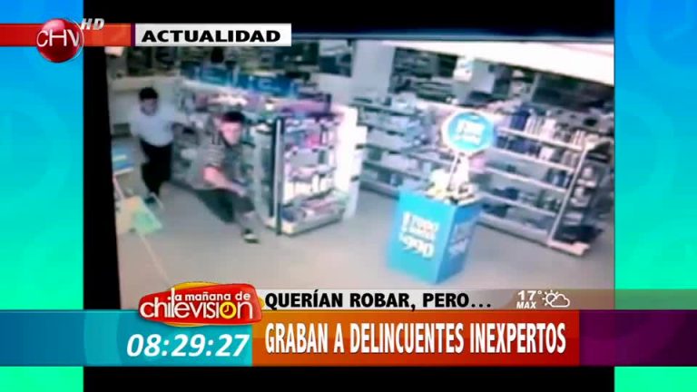 Todo por el botín: Los Ladrones más descarados