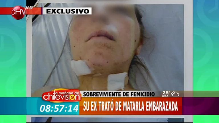 Testimonio: Mujer fue apuñalada 15 veces cuando estaba embarazada y victimario no ha sido juzgado