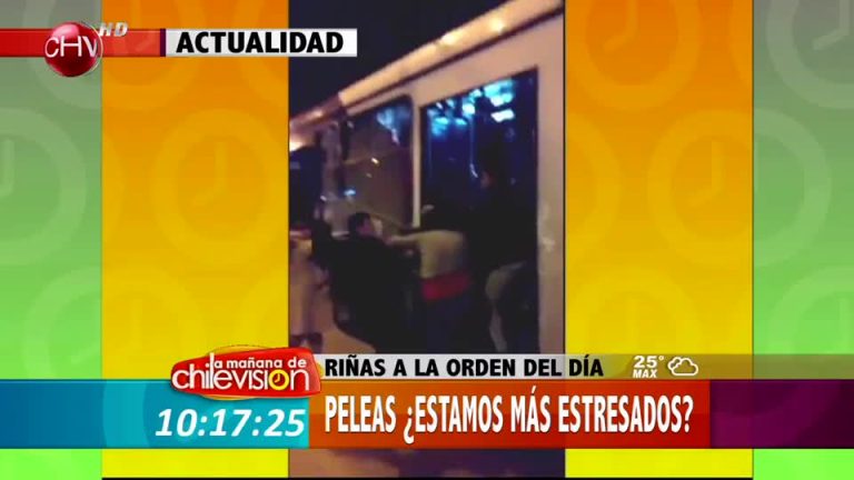 Riñas en el Transantiago ¿estamos más estresados?