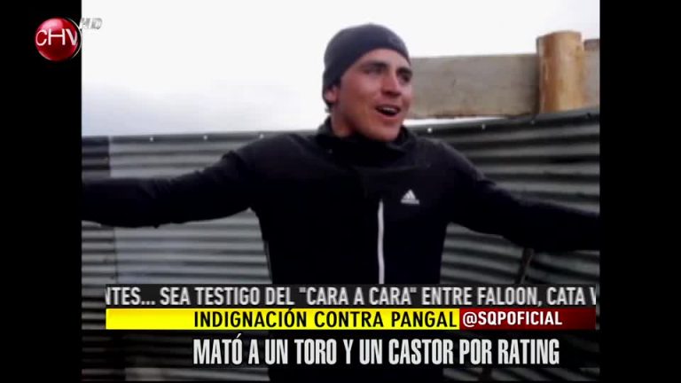 Pangal es acusado de matar injustificadamente a un toro y un castor