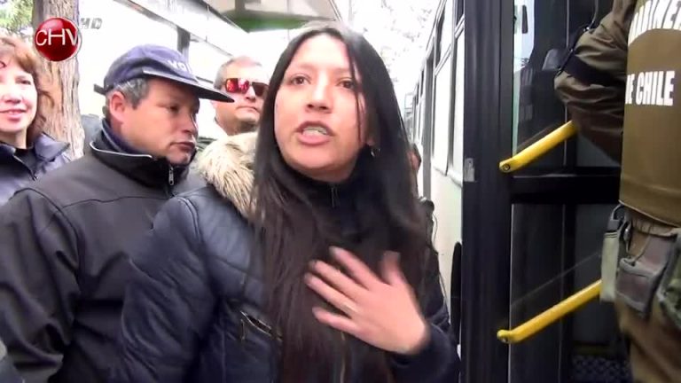 Mujer denuncia a carabineros problemas con conductor del Transantiago