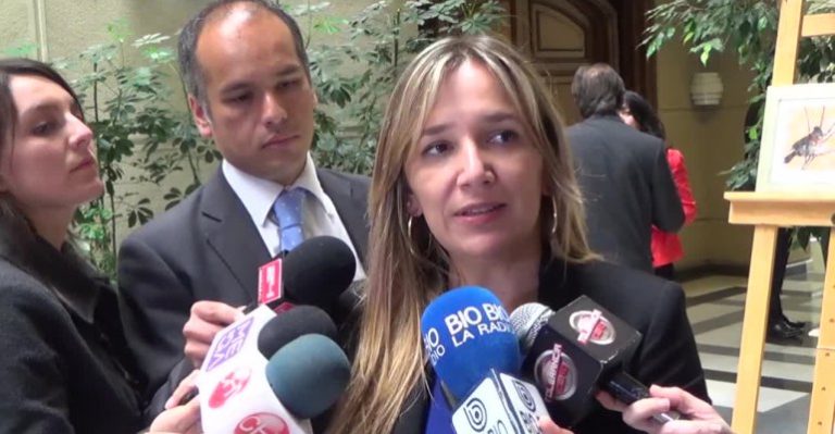 María José Hoffman por indicaciones a la reforma educacional: 