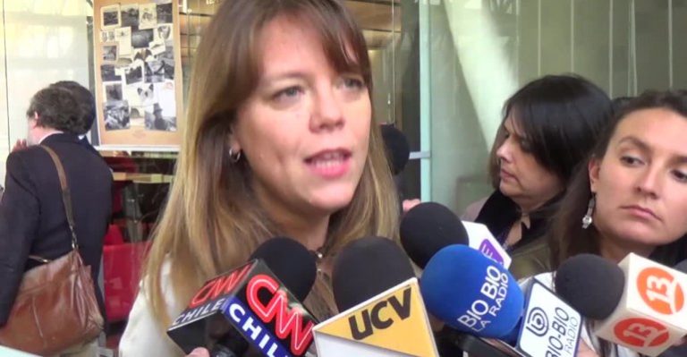 Senadora Von Baer y reforma educacional: 