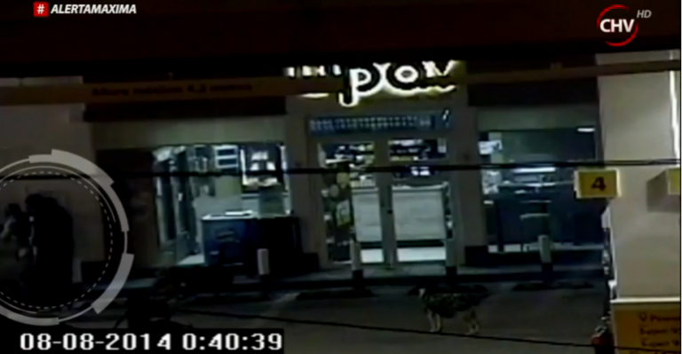 Carabineros realizó intenso operativo por robo de cajero automático