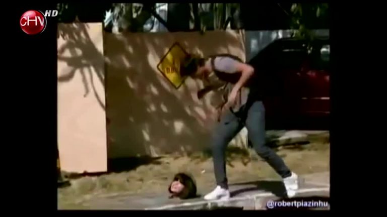 Disfruta con los videos que la están rompiendo en la web