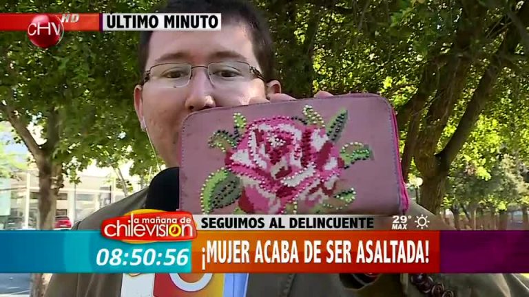 Cámaras del matinal captan a delincuente que asaltó a mujer (2/2)