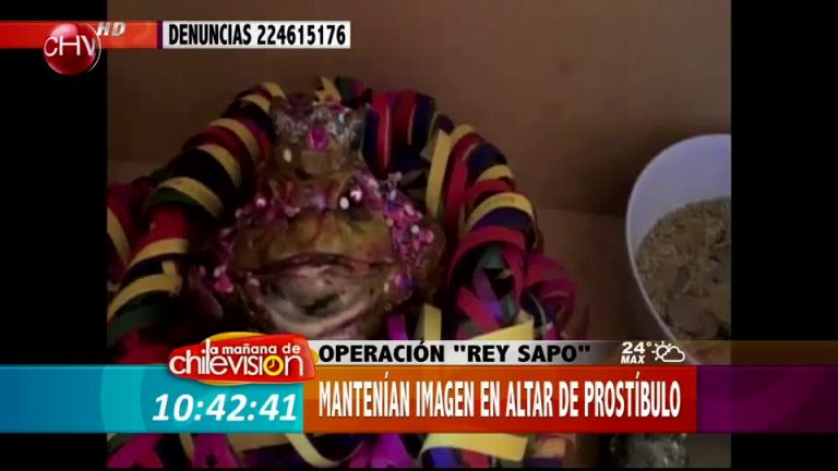 Prostíbulo clandestino de Arica tenía de altar a un sapo (Parte 1)