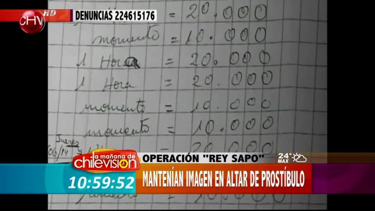 Prostíbulo clandestino de Arica tenía de altar a un sapo (Parte 2)