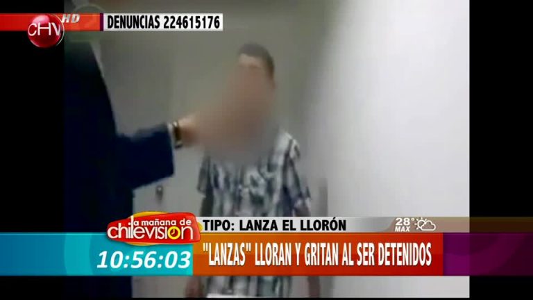 Mire las imágenes de lanzas que lloran y gritan al ser detenidos (Parte 1)