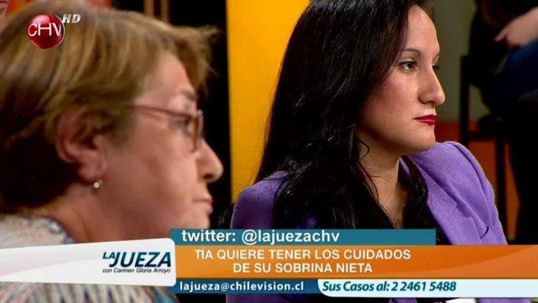 Pido que mi sobrina me entregue los cuidados personales de su hija (Parte 2)